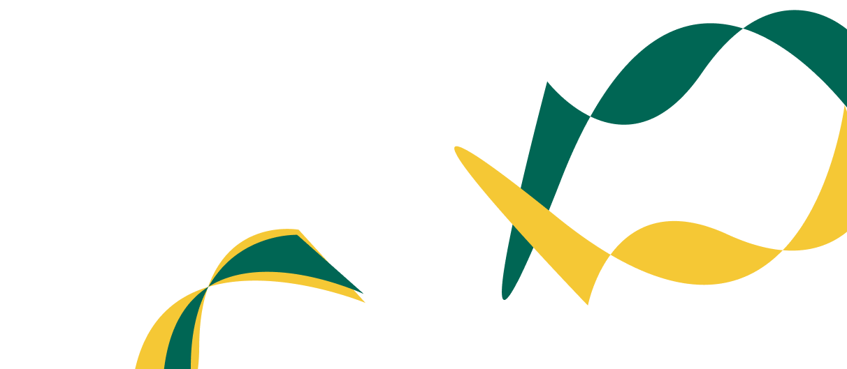 Expert Solutions for Corporate  Financial Success. - 优直播体育APP