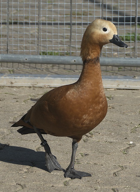 的尊重