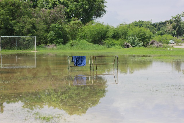 降低不必要 降低不必要
