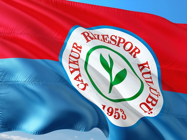 他们的成功 他们的成功