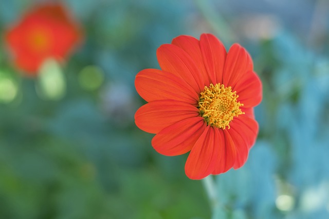 霆队与湖人 霆队与湖人