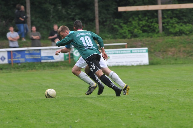 天津女排的 天津女排的