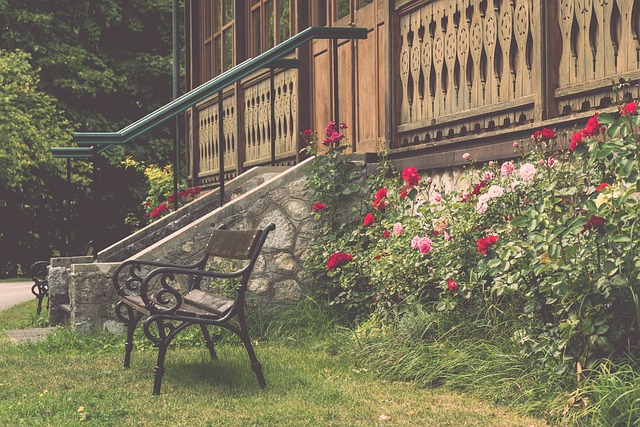 的管理方式 的管理方式