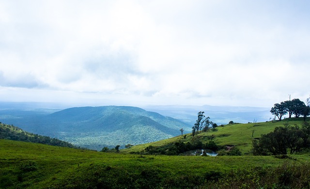 展的潜在影 展的潜在影