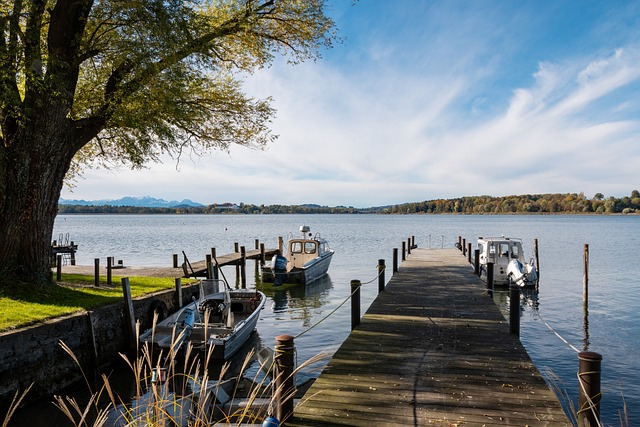 来了三大不 来了三大不