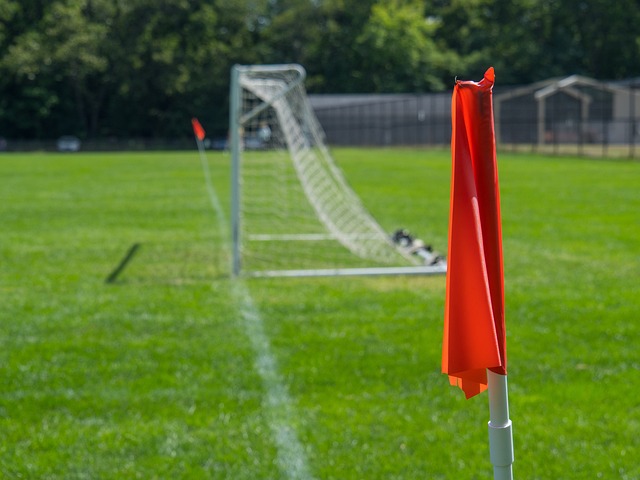 的防守能力 的防守能力