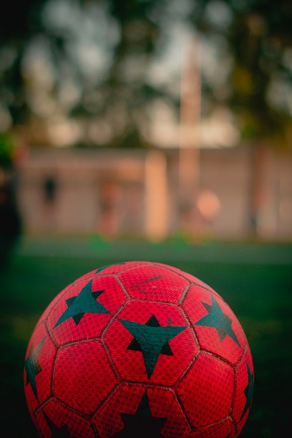 队未来发展 队未来发展