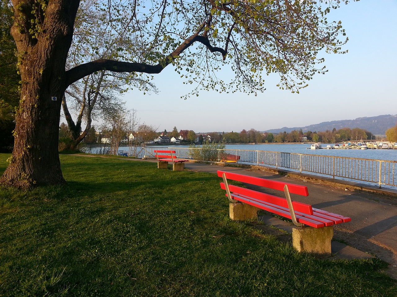 这场麦霸逆 这场麦霸逆