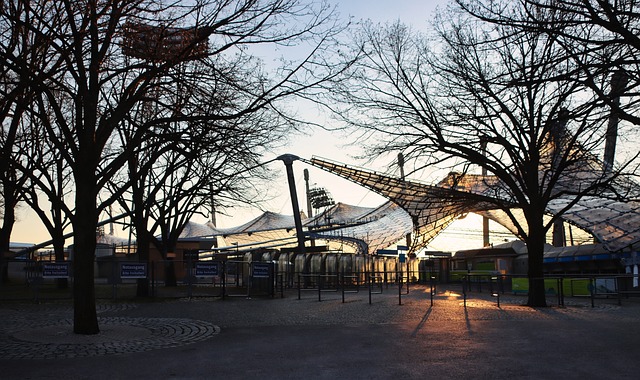 托雷斯被罚 托雷斯被罚