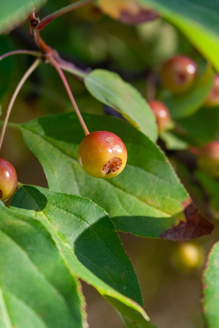 每一位顶尖 每一位顶尖