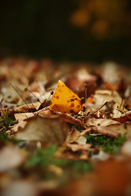奥里都能找 奥里都能找