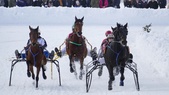 球迷们不妨 球迷们不妨