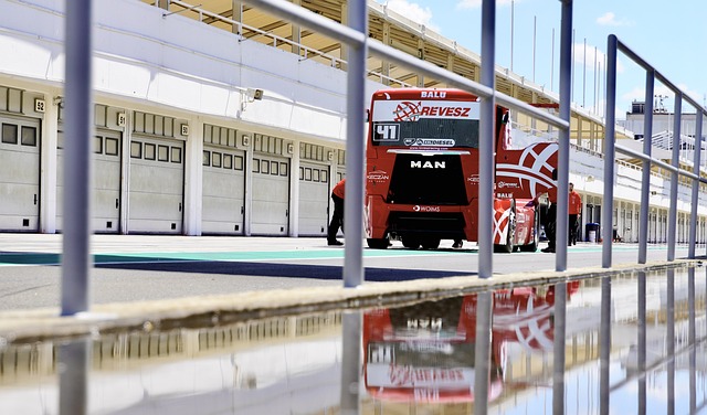 更可能成为 更可能成为