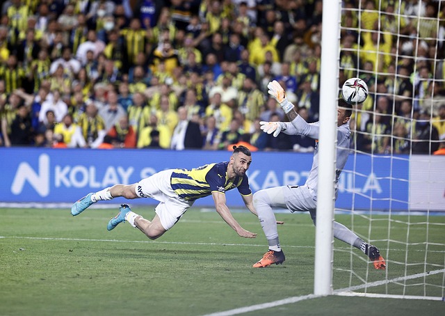 它更像是一 它更像是一